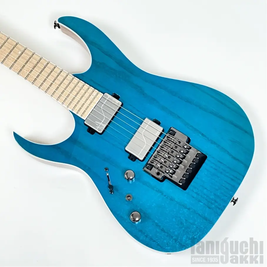 Ibanez - 谷口楽器