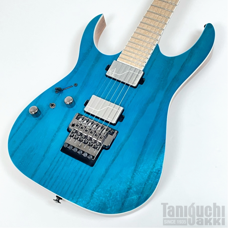 Ibanez RG5120ML (Frozen Ocean) -Prestige- - 谷口楽器