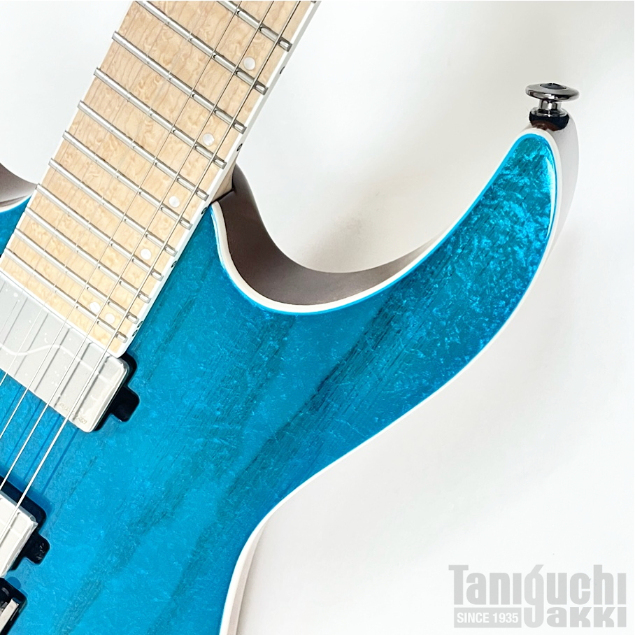 Ibanez RG5120ML (Frozen Ocean) -Prestige- - 谷口楽器