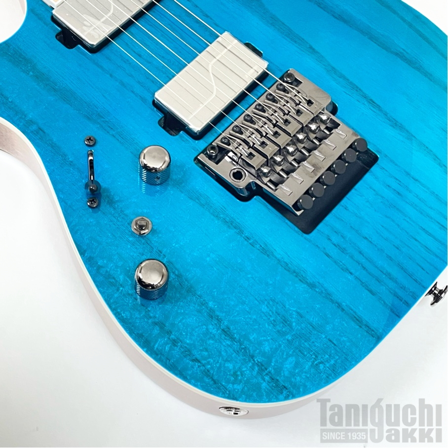 Ibanez RG5120ML (Frozen Ocean) -Prestige- - 谷口楽器