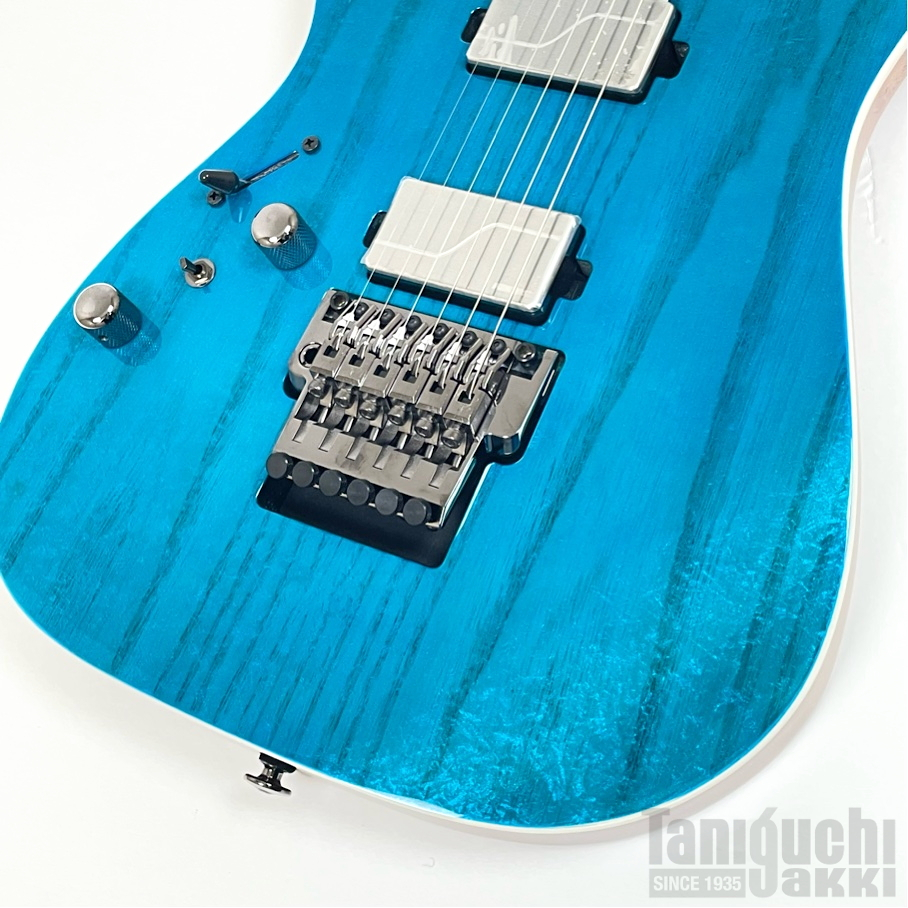 Ibanez RG5120ML (Frozen Ocean) -Prestige- - 谷口楽器