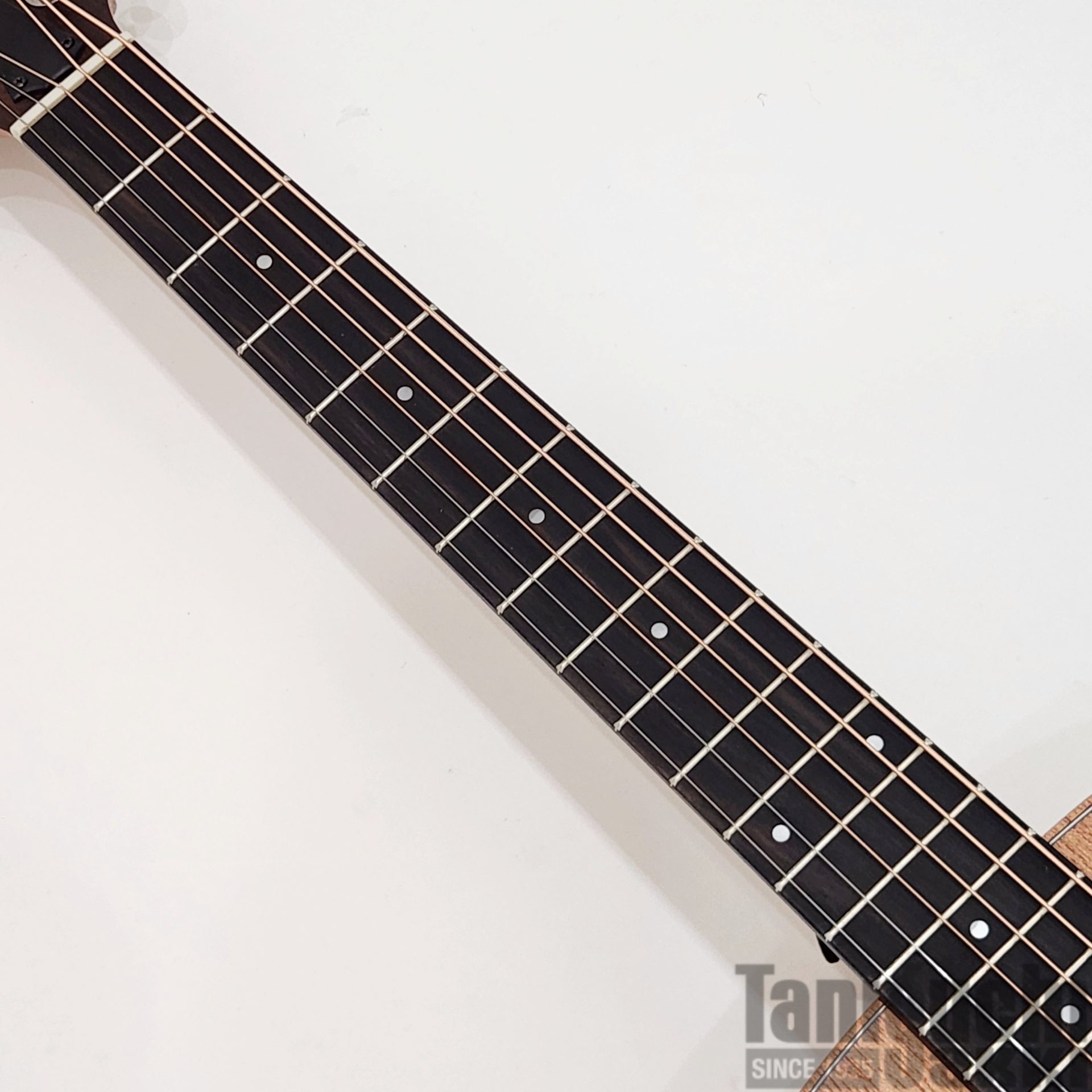 Taylor GS Mini Mahogany Left-Handed - 谷口楽器
