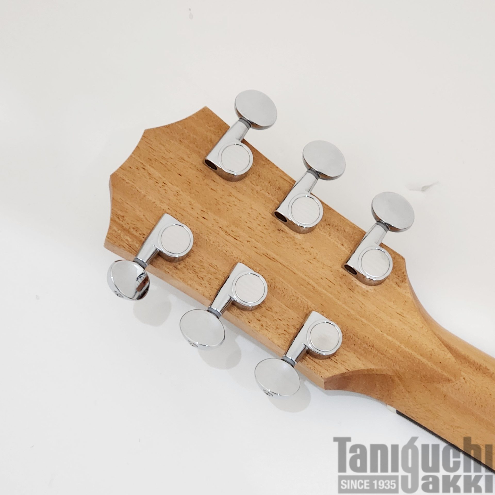 Taylor GS Mini Mahogany Left-Handed - 谷口楽器