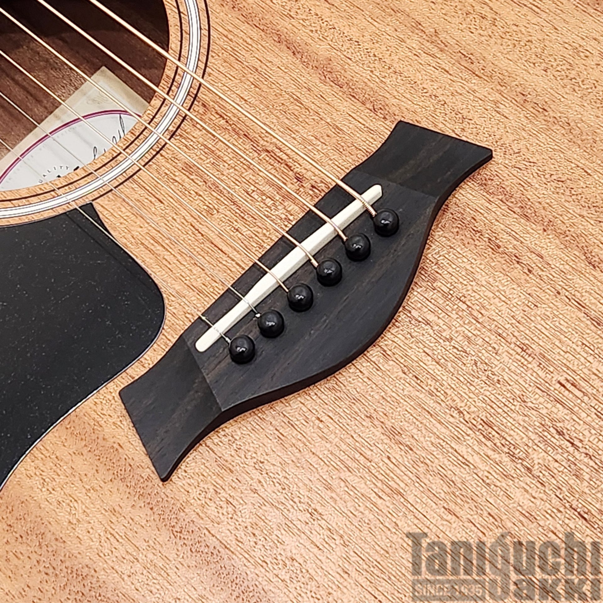 Taylor GS Mini Mahogany Left-Handed - 谷口楽器