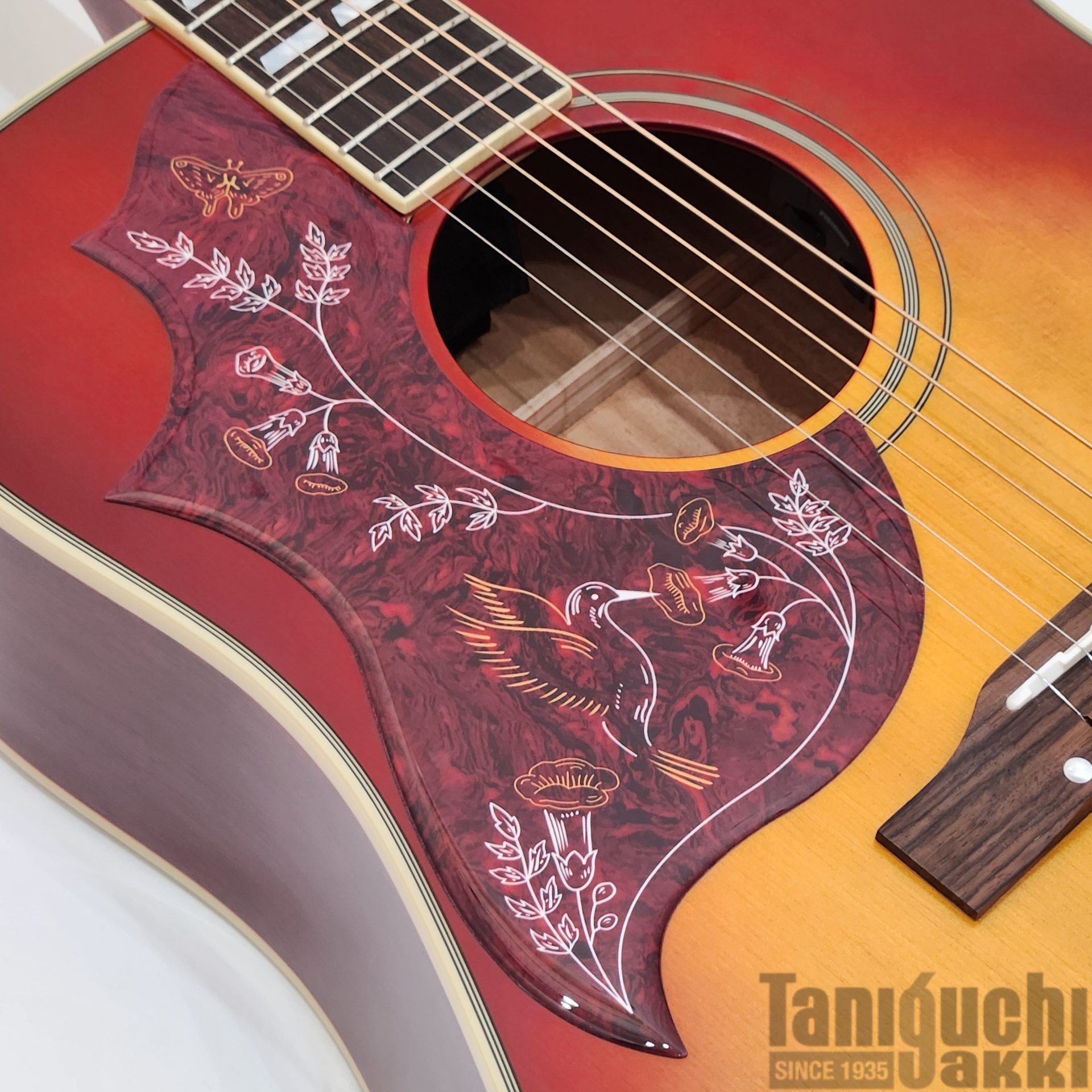 Epiphone Hummingbird Standard Left-Handed (Cherry Sunburst) - 谷口楽器