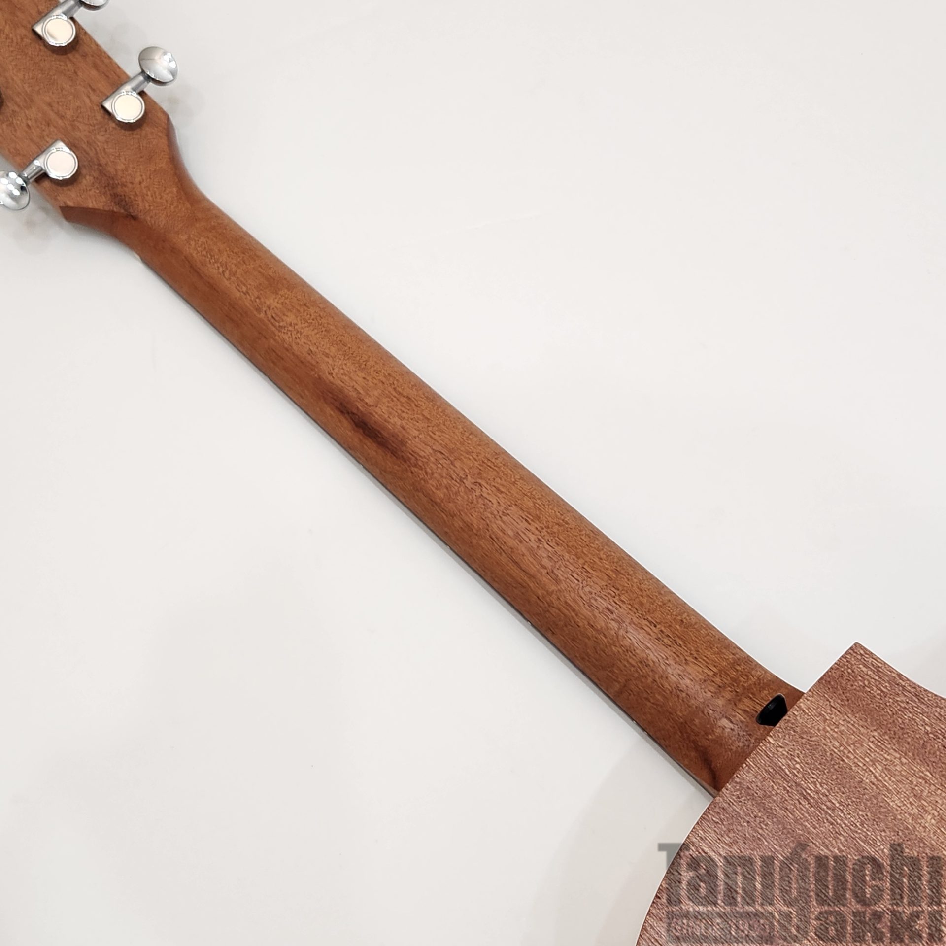 入荷待ち Taylor 14ce Left-Handed - 谷口楽器