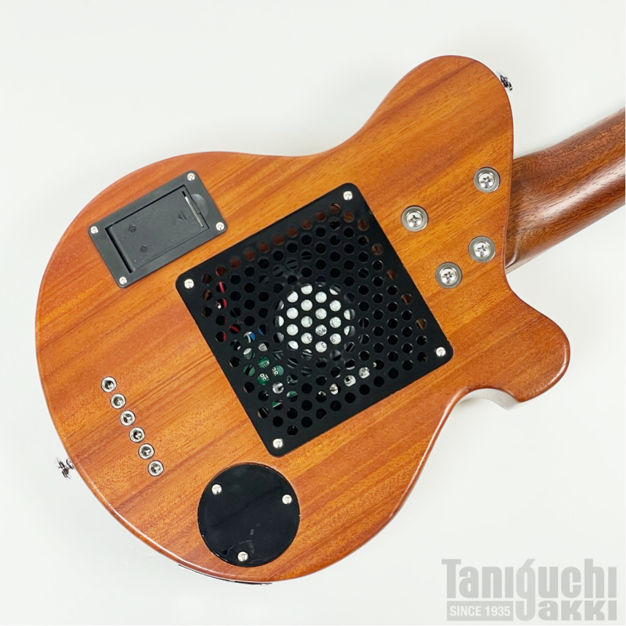 Pignose PGG-200MH Left Hand - 谷口楽器