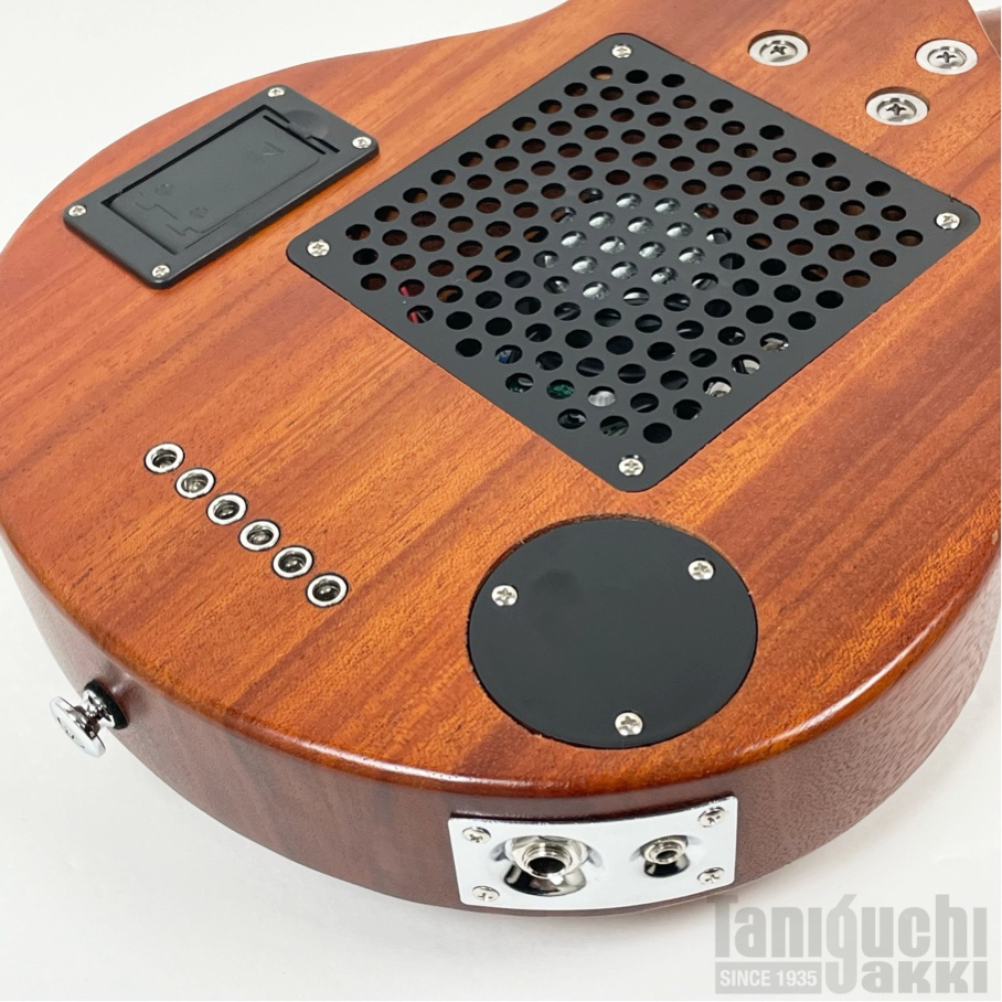 Pignose PGG-200MH Left Hand - 谷口楽器
