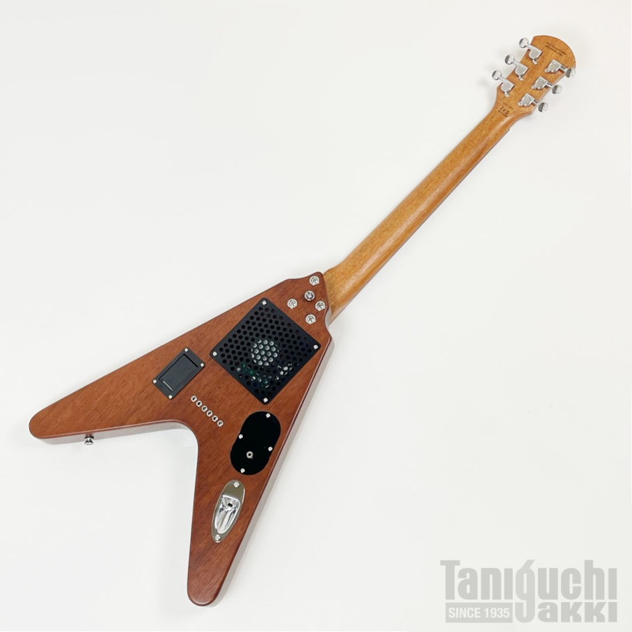 Pignose PGG-200V Left Hand - 谷口楽器
