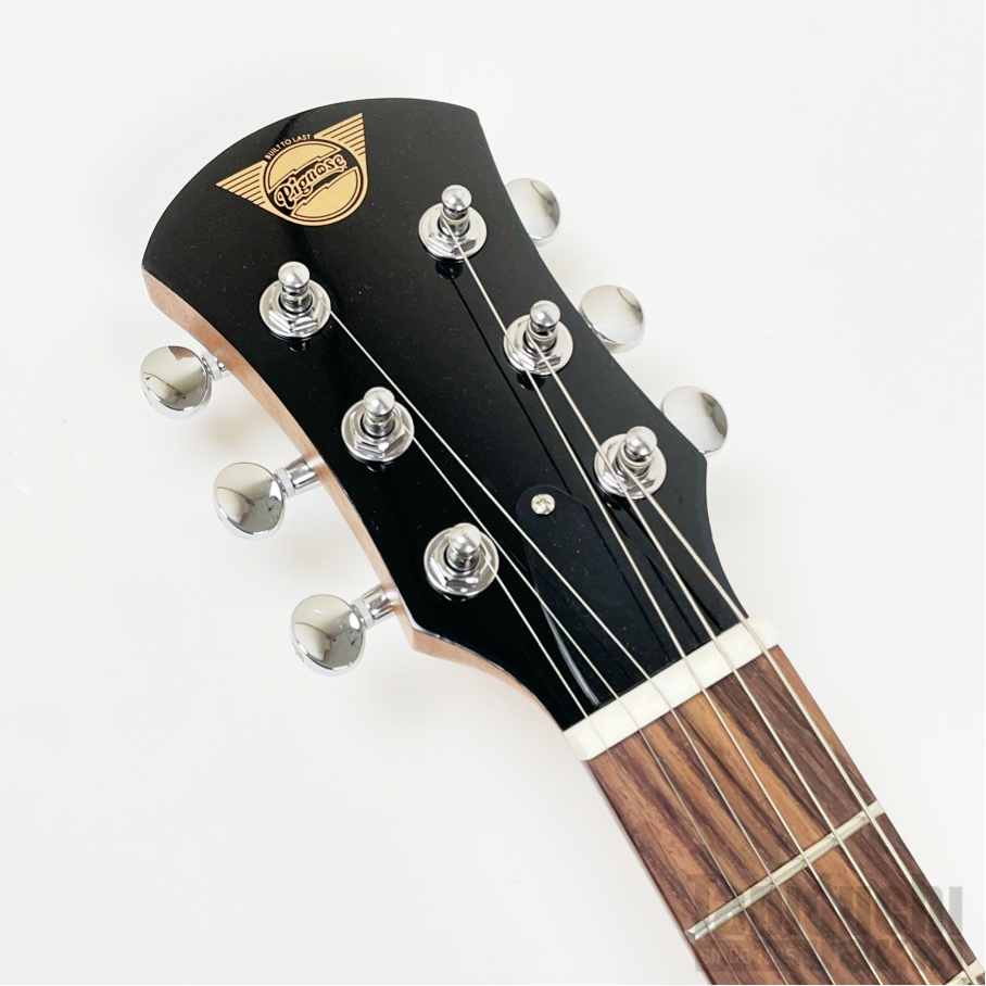 Pignose PGG-200V Left Hand - 谷口楽器