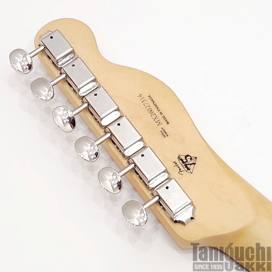 Fender Player II Telecaster Left-Handed (Cactus Gray) - 谷口楽器