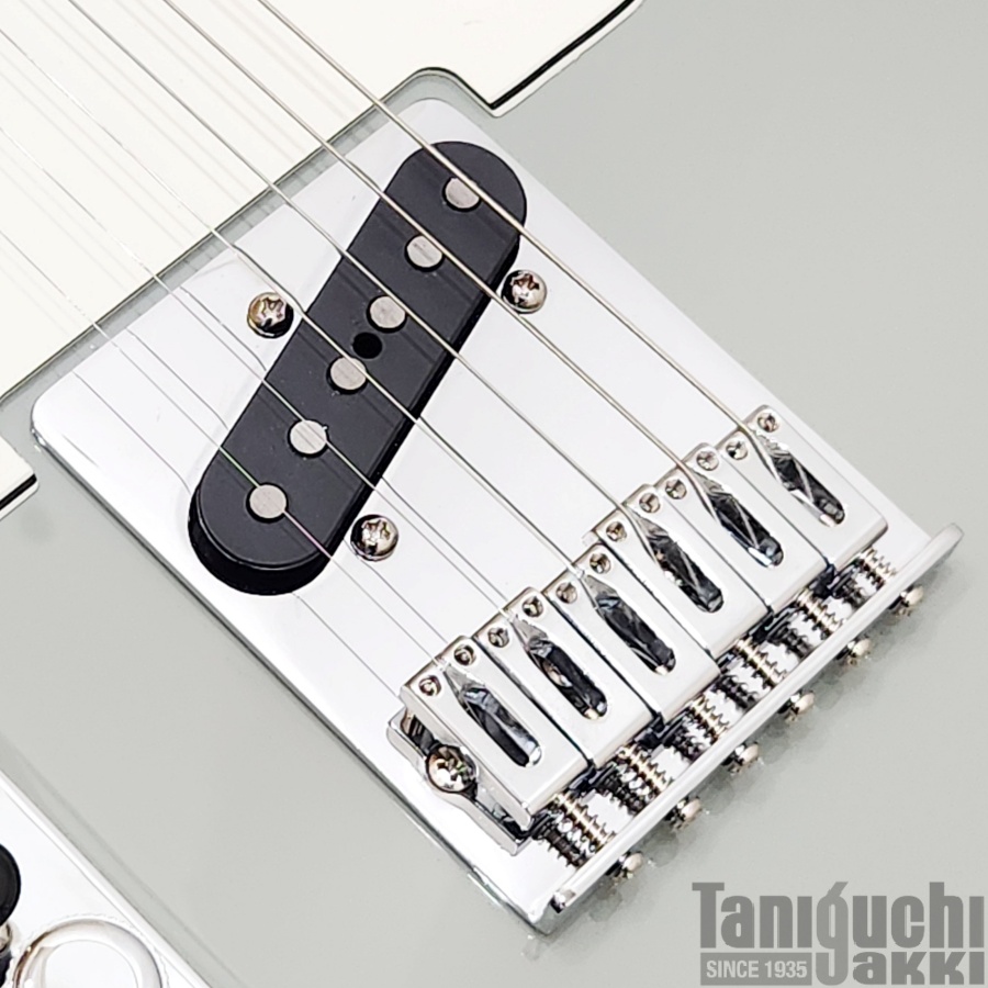 Fender Player II Telecaster Left-Handed (Cactus Gray) - 谷口楽器