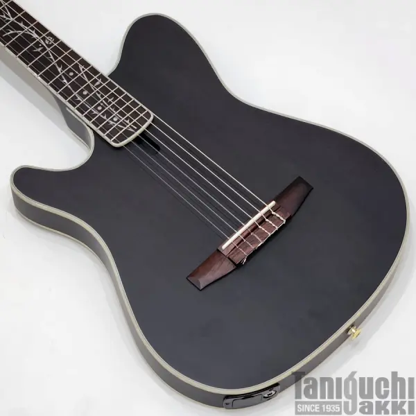 Ibanez - 谷口楽器