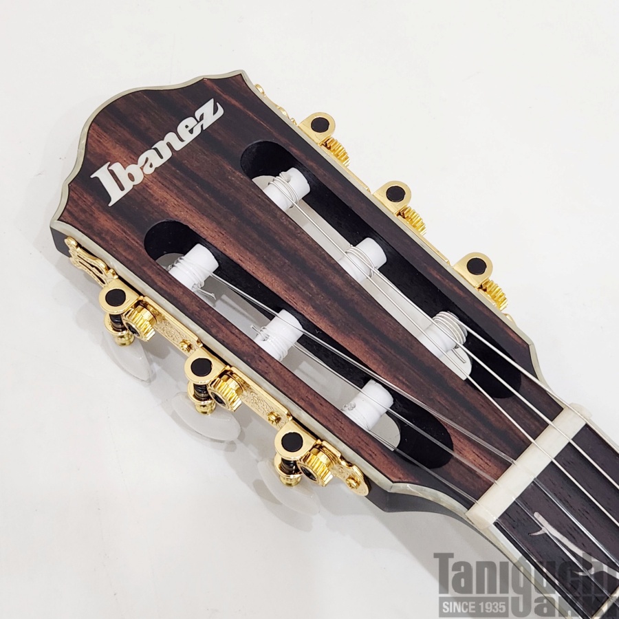 Ibanez TOD10NL-TKF ~Tim Henson(Polyphia) Signature Model~ [2026
