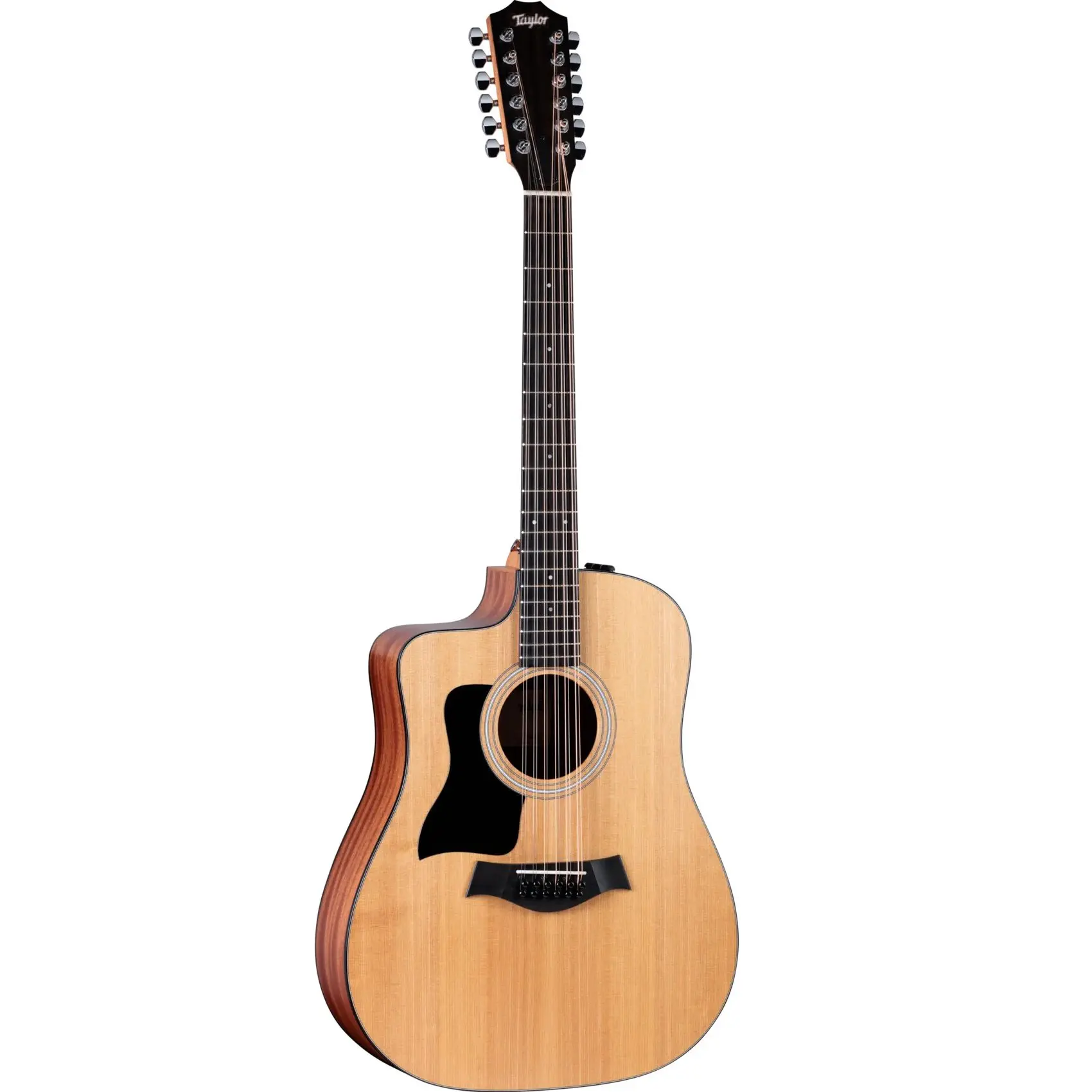 Taylor 214ce Left-Handed - 谷口楽器
