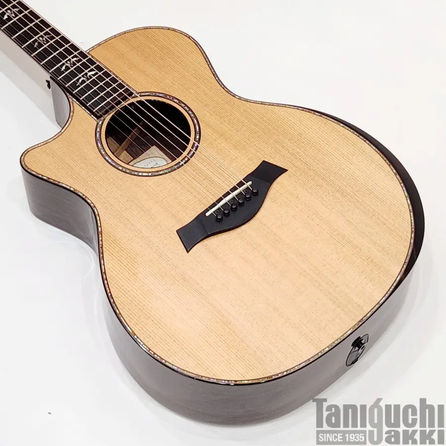 Taylor 114ce Left-Handed - 谷口楽器