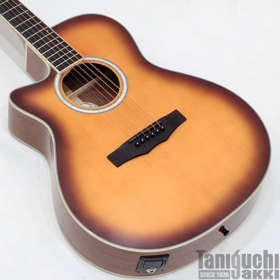 Morris “Performers Edition” R-011LH (Tabaco Sunburst) 入門セット付