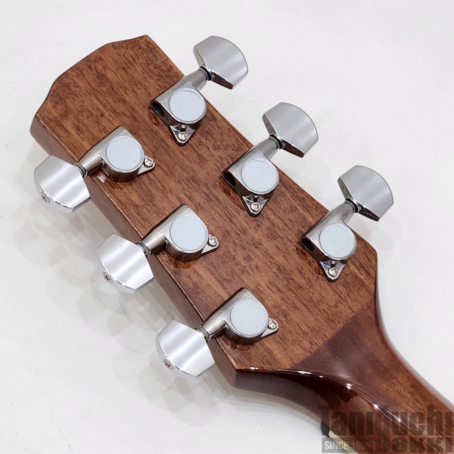 Morris “Performers Edition” R-011LH (Tabaco Sunburst) 入門セット付