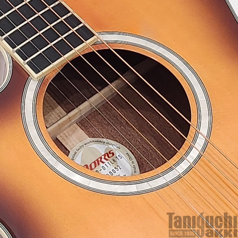 Morris “Performers Edition” R-011LH (Tabaco Sunburst) 入門セット付