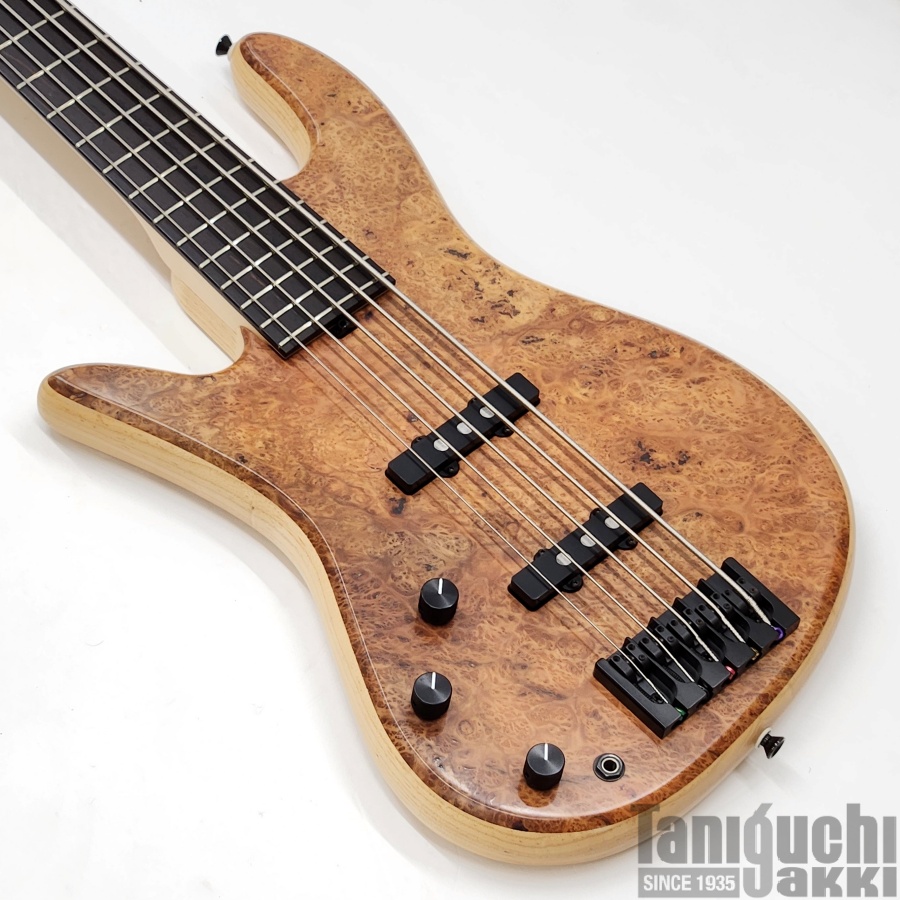 Red House Esperanza 5st 21F Burl Lefty ※SOLD OUT - 谷口楽器