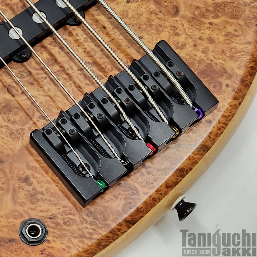 Red House Esperanza 5st 21F Burl Lefty ※SOLD OUT - 谷口楽器