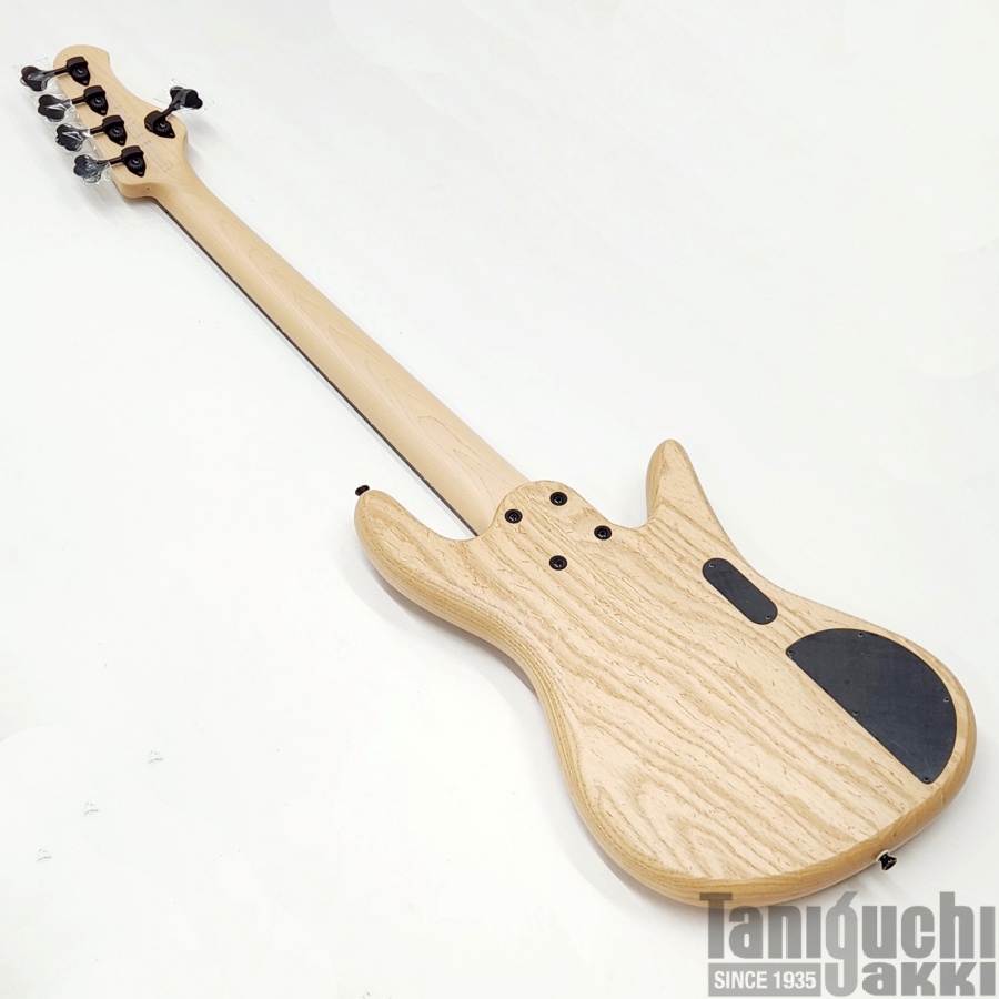 Red House Esperanza 5st 21F Burl Lefty ※SOLD OUT - 谷口楽器