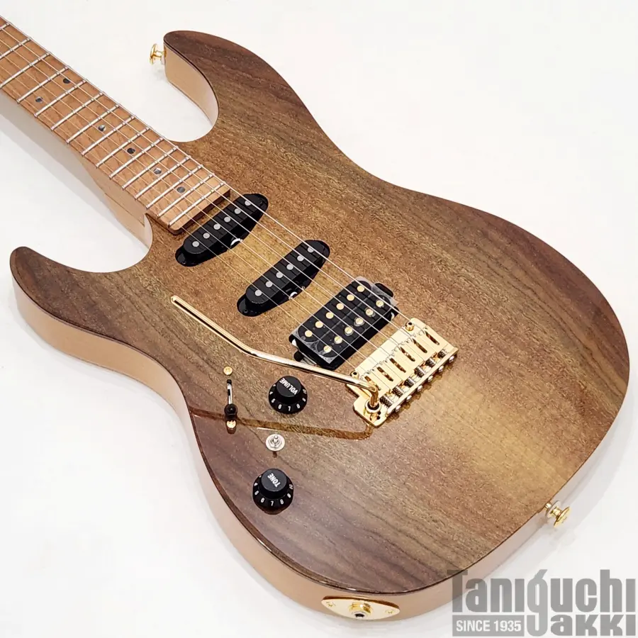 Fujigen NTE100MAHL (VNT) -Neo Classic- - 谷口楽器