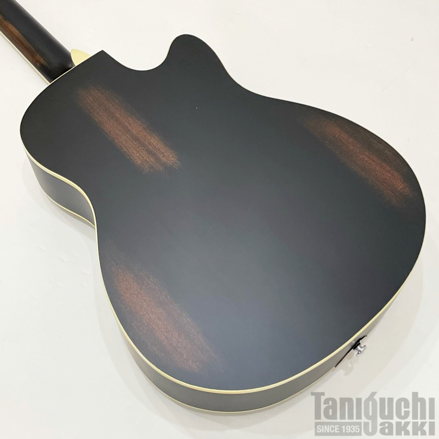 Ortega Americana Series RRG40CE-DBK-Lefty - 谷口楽器