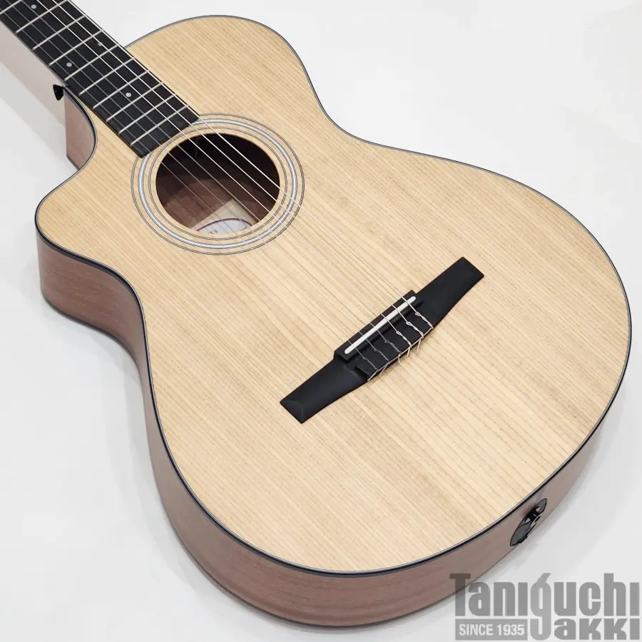 Taylor 24ce Left-Handed - 谷口楽器