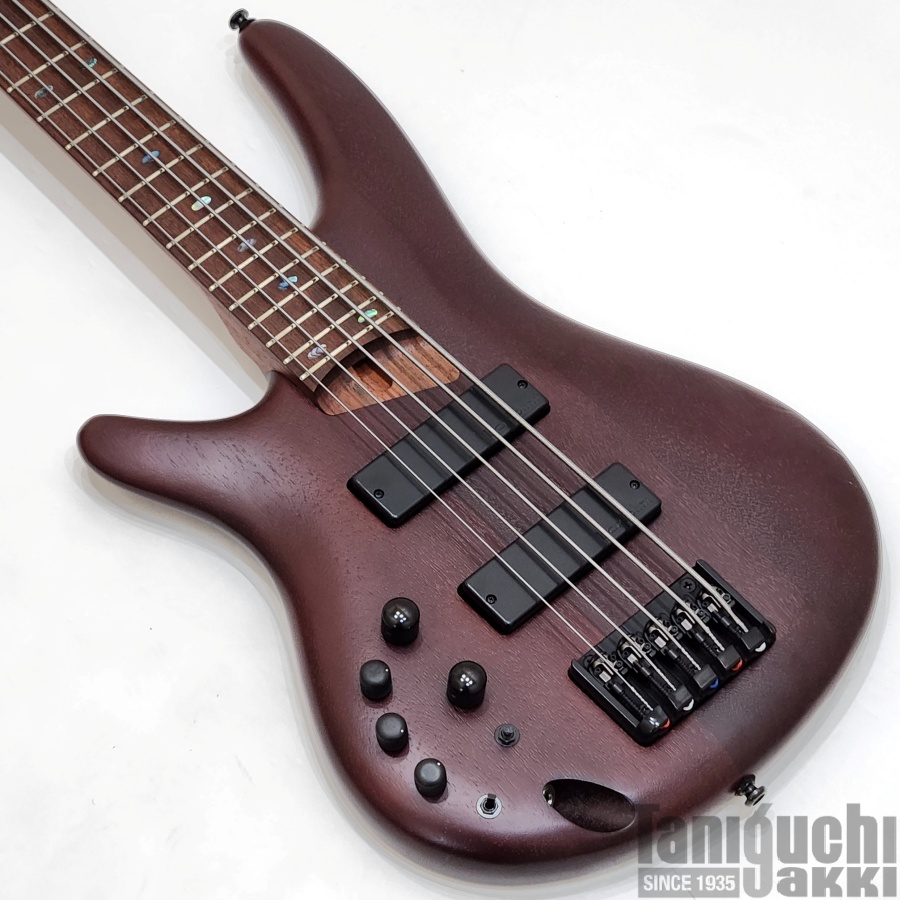 USED】Ibanez SR505EL (Brown Mahogany) 2019年製 - 谷口楽器