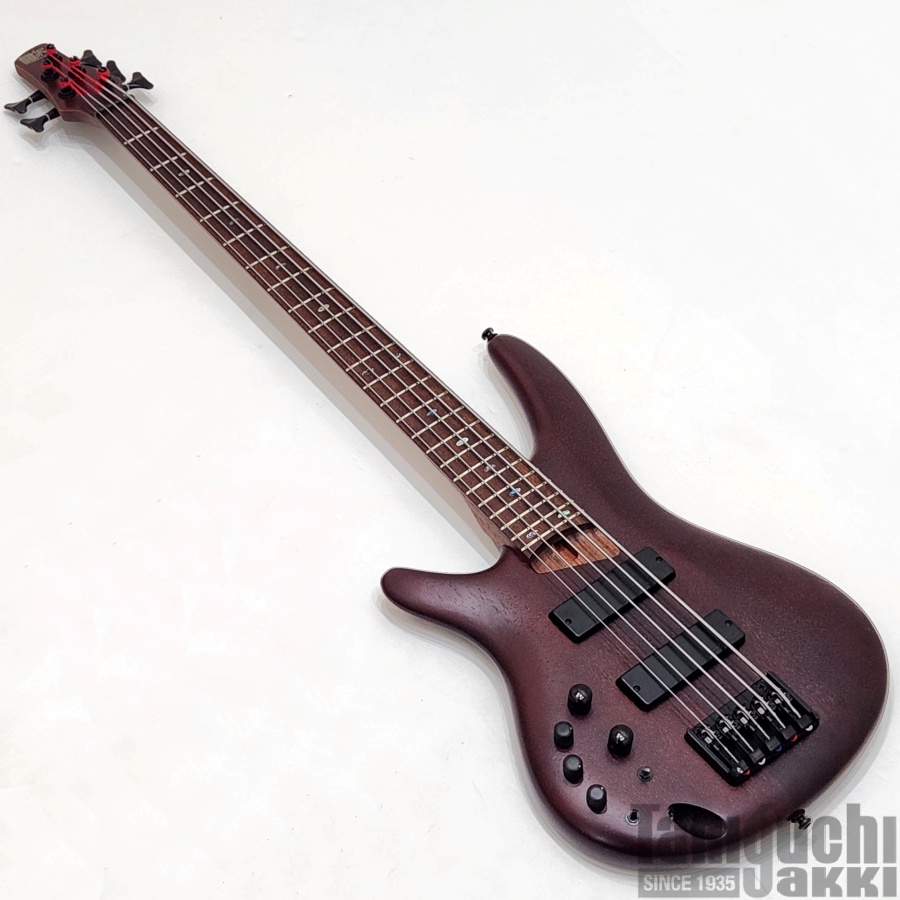 USED】Ibanez SR505EL (Brown Mahogany) 2019年製 - 谷口楽器