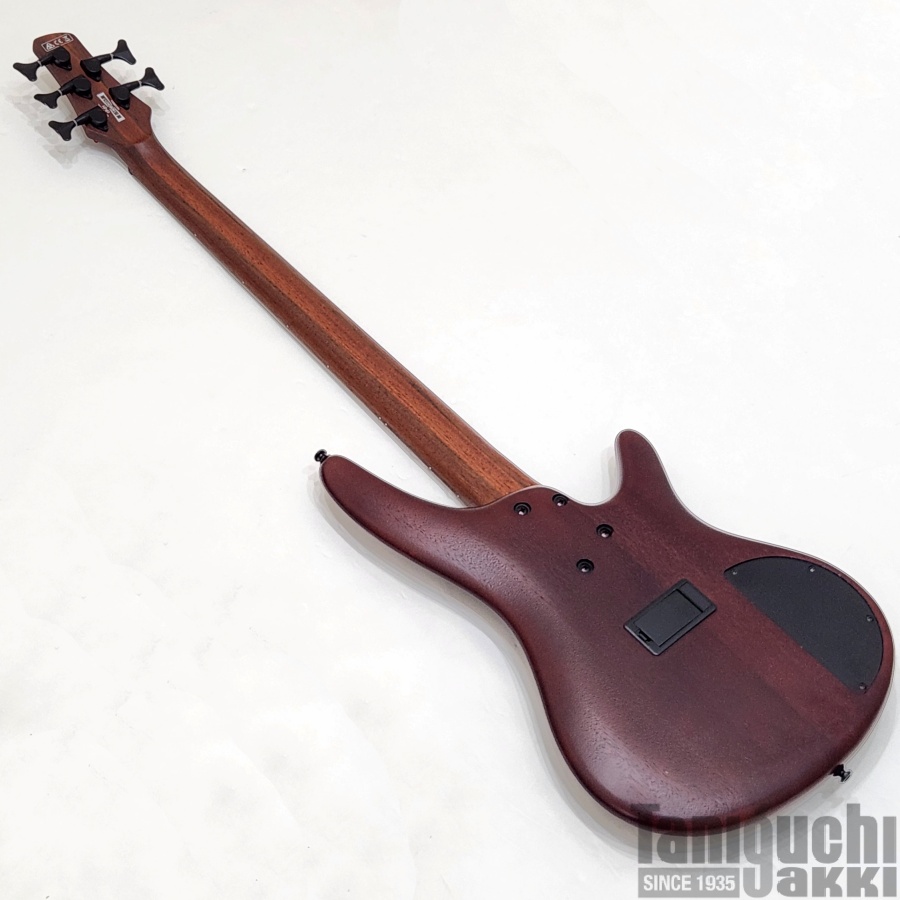 Ibanez SR505EL 5弦 USED】Ibanez SR505EL (Brown Mahogany) 2019年製 - 谷口楽器