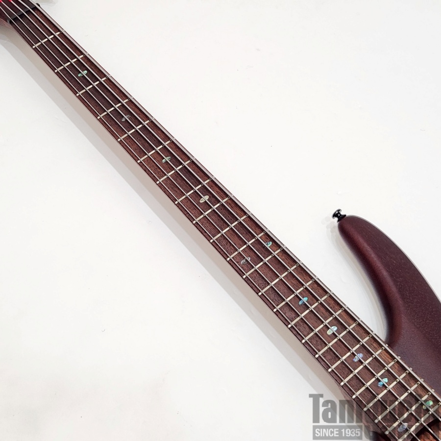 USED】Ibanez SR505EL (Brown Mahogany) 2019年製 - 谷口楽器