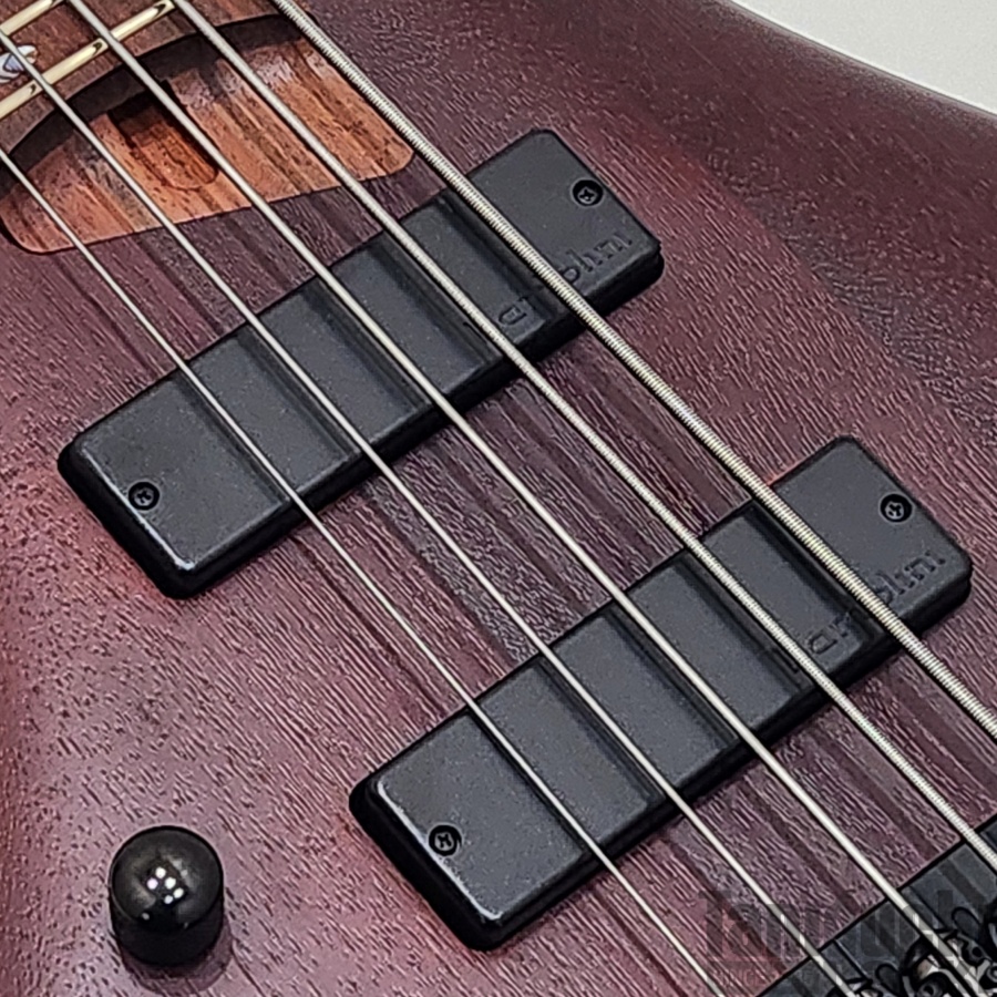 USED】Ibanez SR505EL (Brown Mahogany) 2019年製 - 谷口楽器