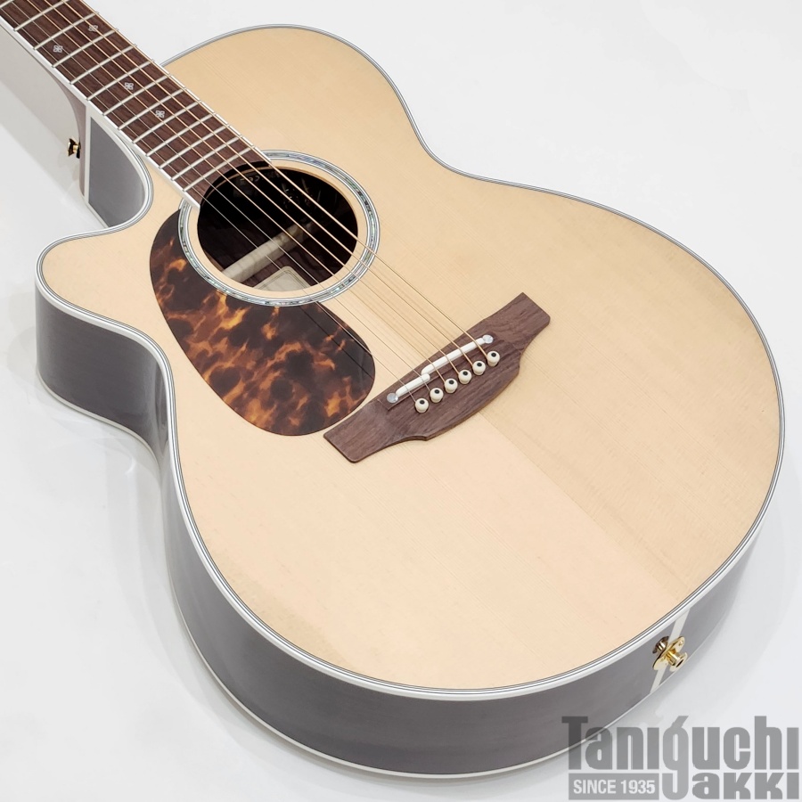 Takamine 100CUSTOM “DMP141C-DC-LH N” - 谷口楽器