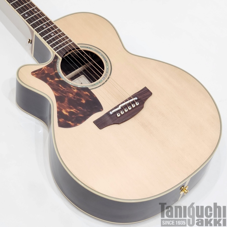 Takamine 500CUSTOM “DMP541C-DC-LH N” - 谷口楽器