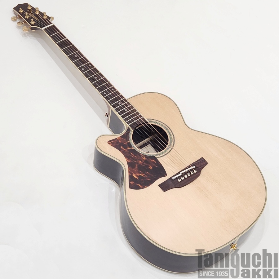 Takamine 500CUSTOM “DMP541C-DC-LH N” - 谷口楽器