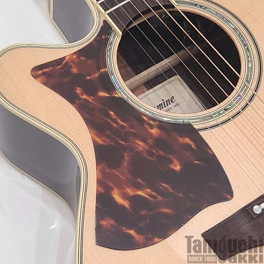Takamine 500CUSTOM “DMP541C-DC-LH N” - 谷口楽器
