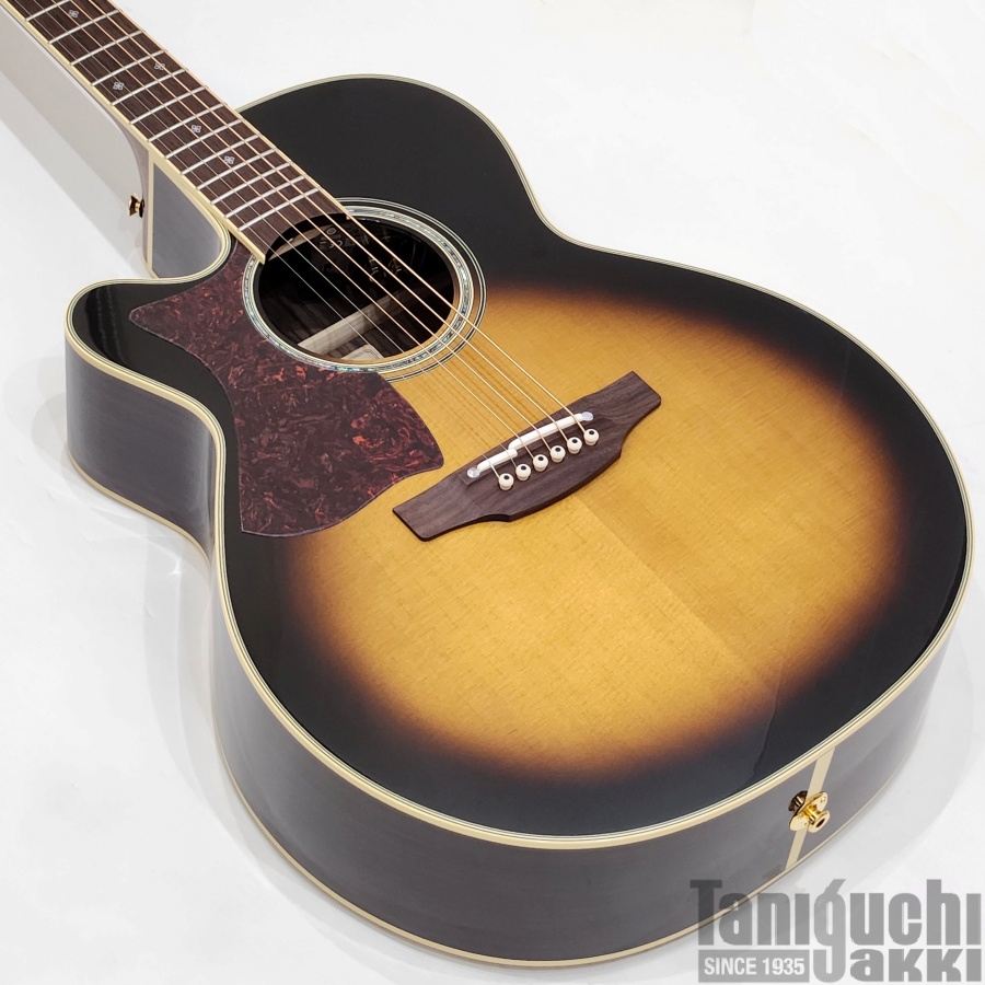 Takamine 500CUSTOM “DMP541C-DC-LH TBS” - 谷口楽器