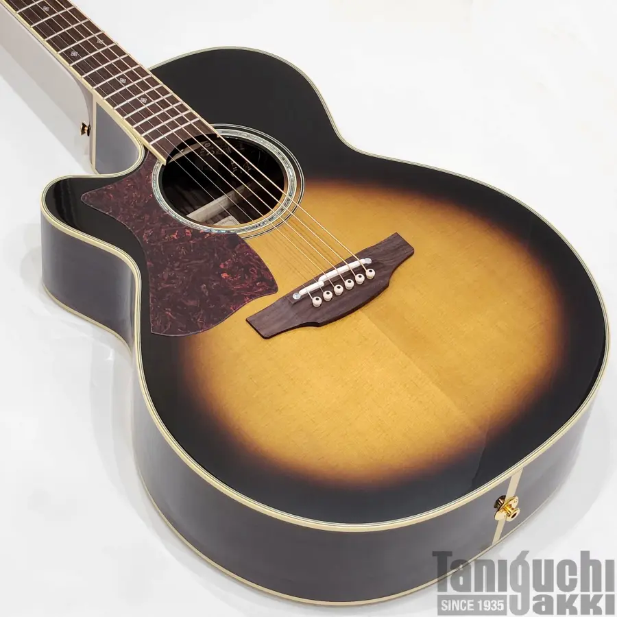 Takamine 500CUSTOM “DMP541C-DC-LH N” - 谷口楽器