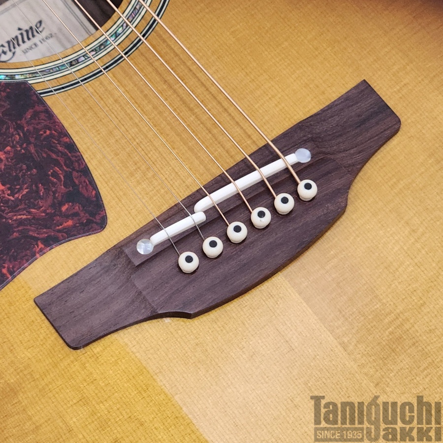 Takamine 500CUSTOM “DMP541C-DC-LH TBS” - 谷口楽器