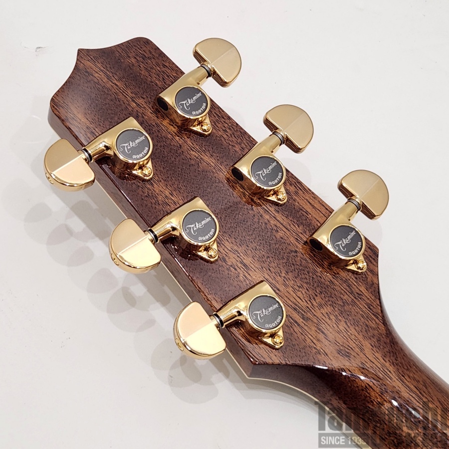 Takamine 500CUSTOM “DMP541C-DC-LH TBS” - 谷口楽器
