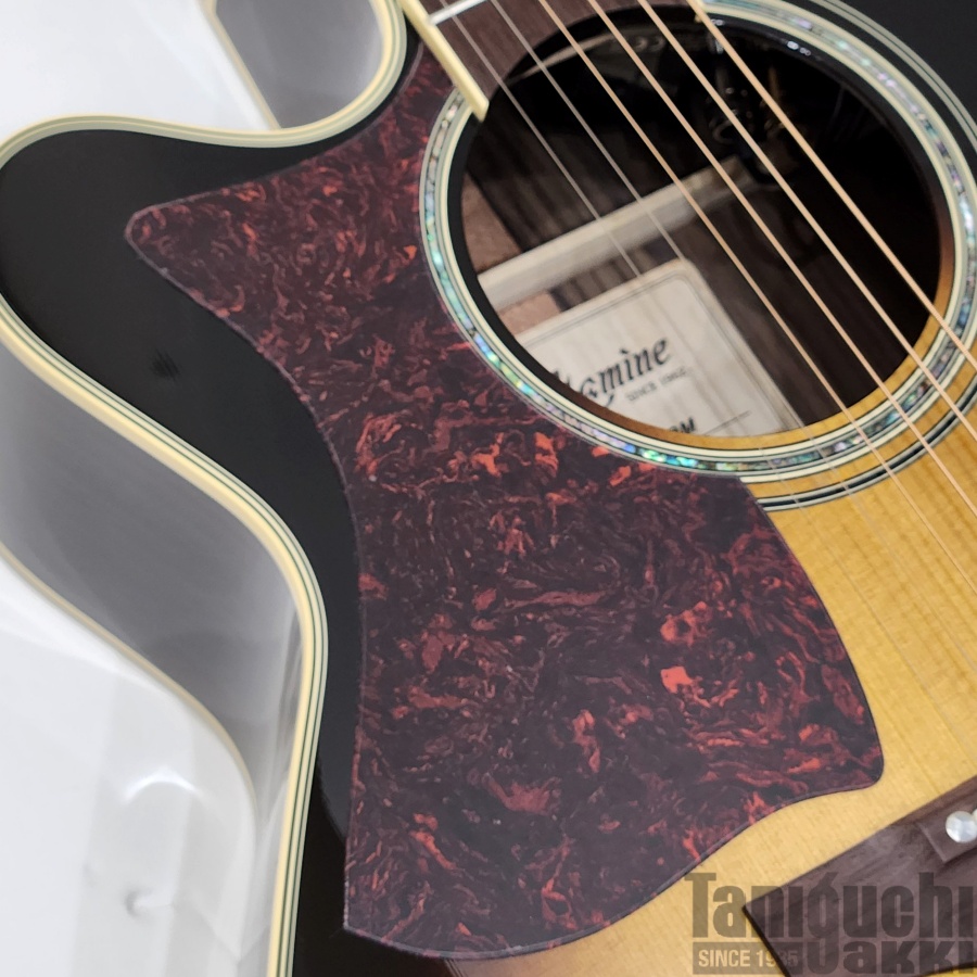 Takamine 500CUSTOM “DMP541C-DC-LH TBS” - 谷口楽器